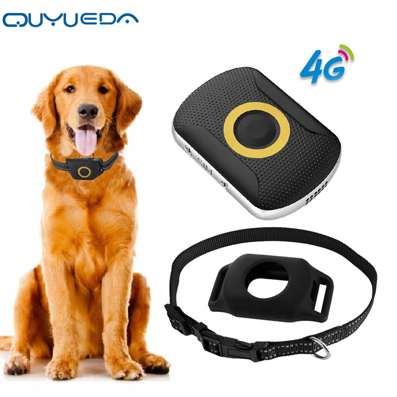 Real-Time GPS Tracker for Pets and Loved Ones